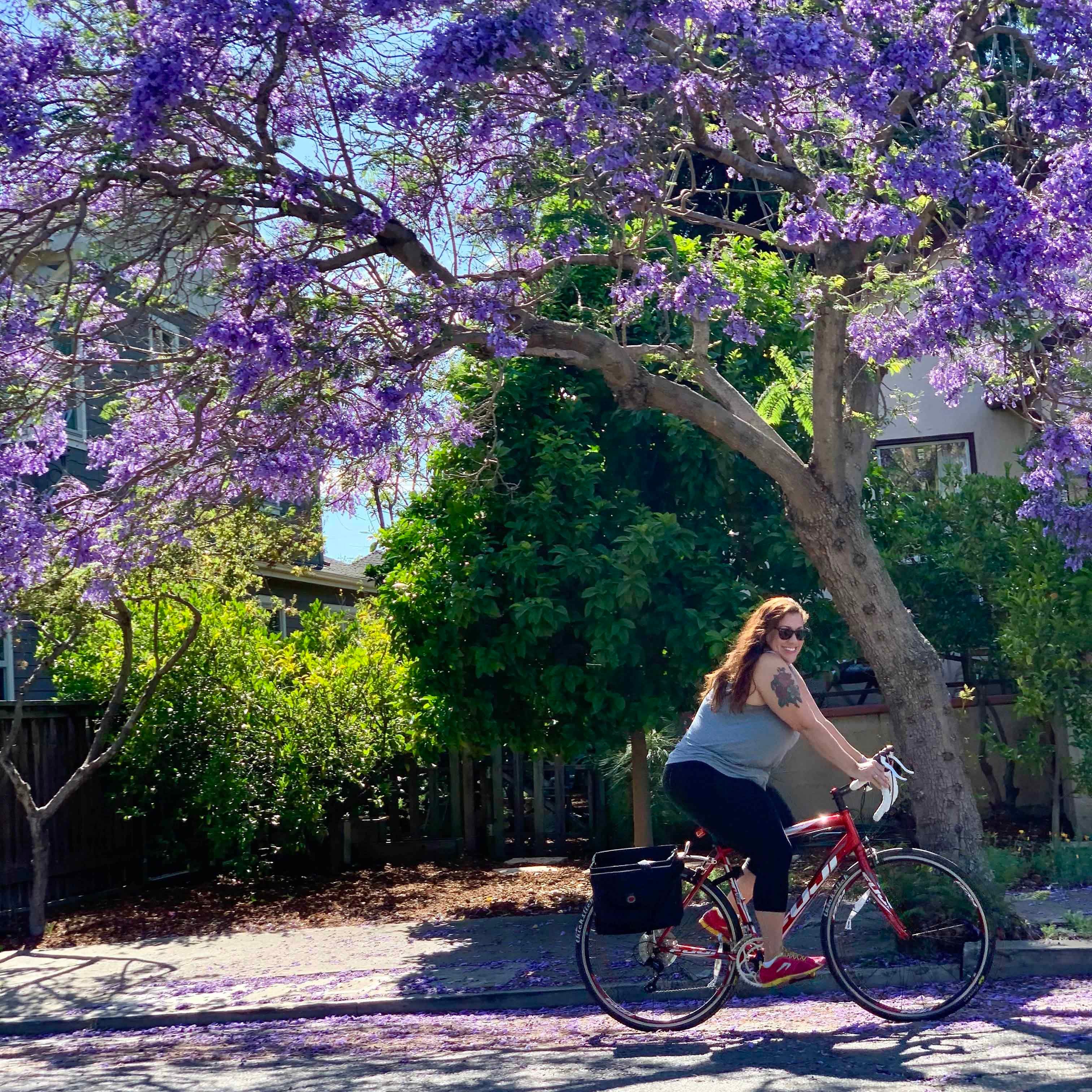 Woman on a bike amongst trees with purple flowers